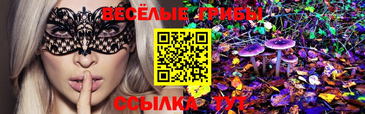 Псилоцибиновые грибы мицелий  Псилоцибиновые грибы ЛСД  Богородск  Вход с VPN 